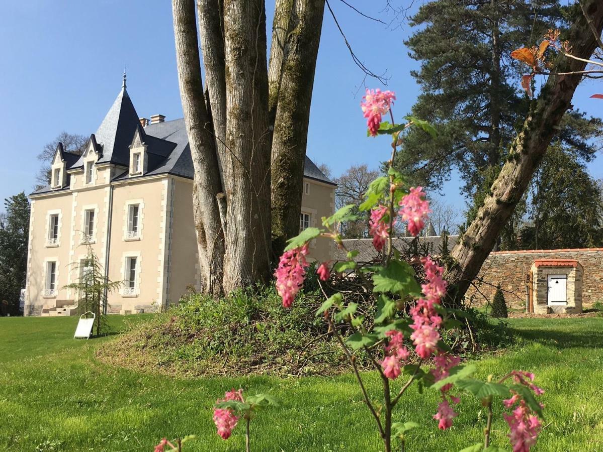 Le Petit Chateau Des Cedres Mouchamps Eksteriør bilde